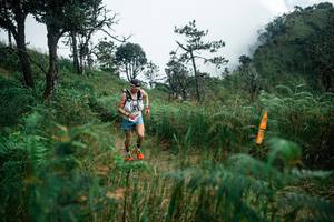 BIB: 
                            <button type="button" onclick="openModal(25277579)" class="btn btn-primary btn-sm float-right btn-popup" data-toggle="modal" data-target=".modal-high-quality">
                        <i class="fas fa-shopping-cart"></i> Add to Cart
                    </button>
                                            <button type="button" onclick="isThisMe(25277579, true)" class="btn btn-success btn-sm float-right btn-popup btn-isme hidden" data-toggle="tooltip" data-placement="bottom" title="นี่คือรูปของคุณใช่ไหม คลิกที่นี่เพื่อเอาเข้าอัลบั้ม">
                        <i class="fas fa-plus"></i> Add to album
                    </button>
                    <button type="button" onclick="isThisMe(25277579, false)" class="btn btn-warning btn-sm float-right btn-popup btn-isnotme hidden">
                        <i class="fas fa-ban"></i> Remove from album
                    </button>