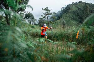 BIB: 
                            <button type="button" onclick="openModal(25267766)" class="btn btn-primary btn-sm float-right btn-popup" data-toggle="modal" data-target=".modal-high-quality">
                        <i class="fas fa-shopping-cart"></i> Add to Cart
                    </button>
                                            <button type="button" onclick="isThisMe(25267766, true)" class="btn btn-success btn-sm float-right btn-popup btn-isme hidden" data-toggle="tooltip" data-placement="bottom" title="นี่คือรูปของคุณใช่ไหม คลิกที่นี่เพื่อเอาเข้าอัลบั้ม">
                        <i class="fas fa-plus"></i> Add to album
                    </button>
                    <button type="button" onclick="isThisMe(25267766, false)" class="btn btn-warning btn-sm float-right btn-popup btn-isnotme hidden">
                        <i class="fas fa-ban"></i> Remove from album
                    </button>