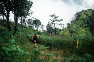 BIB: 
                            <button type="button" onclick="openModal(25277134)" class="btn btn-primary btn-sm float-right btn-popup" data-toggle="modal" data-target=".modal-high-quality">
                        <i class="fas fa-shopping-cart"></i> Add to Cart
                    </button>
                                            <button type="button" onclick="isThisMe(25277134, true)" class="btn btn-success btn-sm float-right btn-popup btn-isme hidden" data-toggle="tooltip" data-placement="bottom" title="นี่คือรูปของคุณใช่ไหม คลิกที่นี่เพื่อเอาเข้าอัลบั้ม">
                        <i class="fas fa-plus"></i> Add to album
                    </button>
                    <button type="button" onclick="isThisMe(25277134, false)" class="btn btn-warning btn-sm float-right btn-popup btn-isnotme hidden">
                        <i class="fas fa-ban"></i> Remove from album
                    </button>