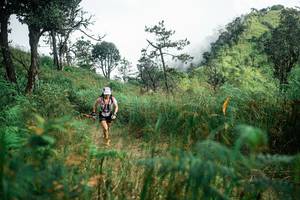 BIB: 
                            <button type="button" onclick="openModal(25275013)" class="btn btn-primary btn-sm float-right btn-popup" data-toggle="modal" data-target=".modal-high-quality">
                        <i class="fas fa-shopping-cart"></i> Add to Cart
                    </button>
                                            <button type="button" onclick="isThisMe(25275013, true)" class="btn btn-success btn-sm float-right btn-popup btn-isme hidden" data-toggle="tooltip" data-placement="bottom" title="นี่คือรูปของคุณใช่ไหม คลิกที่นี่เพื่อเอาเข้าอัลบั้ม">
                        <i class="fas fa-plus"></i> Add to album
                    </button>
                    <button type="button" onclick="isThisMe(25275013, false)" class="btn btn-warning btn-sm float-right btn-popup btn-isnotme hidden">
                        <i class="fas fa-ban"></i> Remove from album
                    </button>