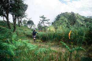 BIB: 
                            <button type="button" onclick="openModal(25267437)" class="btn btn-primary btn-sm float-right btn-popup" data-toggle="modal" data-target=".modal-high-quality">
                        <i class="fas fa-shopping-cart"></i> Add to Cart
                    </button>
                                            <button type="button" onclick="isThisMe(25267437, true)" class="btn btn-success btn-sm float-right btn-popup btn-isme hidden" data-toggle="tooltip" data-placement="bottom" title="นี่คือรูปของคุณใช่ไหม คลิกที่นี่เพื่อเอาเข้าอัลบั้ม">
                        <i class="fas fa-plus"></i> Add to album
                    </button>
                    <button type="button" onclick="isThisMe(25267437, false)" class="btn btn-warning btn-sm float-right btn-popup btn-isnotme hidden">
                        <i class="fas fa-ban"></i> Remove from album
                    </button>