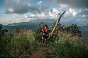 BIB: 
                            <button type="button" onclick="openModal(25264192)" class="btn btn-primary btn-sm float-right btn-popup" data-toggle="modal" data-target=".modal-high-quality">
                        <i class="fas fa-shopping-cart"></i> Add to Cart
                    </button>
                                            <button type="button" onclick="isThisMe(25264192, true)" class="btn btn-success btn-sm float-right btn-popup btn-isme hidden" data-toggle="tooltip" data-placement="bottom" title="นี่คือรูปของคุณใช่ไหม คลิกที่นี่เพื่อเอาเข้าอัลบั้ม">
                        <i class="fas fa-plus"></i> Add to album
                    </button>
                    <button type="button" onclick="isThisMe(25264192, false)" class="btn btn-warning btn-sm float-right btn-popup btn-isnotme hidden">
                        <i class="fas fa-ban"></i> Remove from album
                    </button>