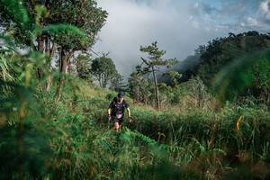 BIB: 
                            <button type="button" onclick="openModal(25272177)" class="btn btn-primary btn-sm float-right btn-popup" data-toggle="modal" data-target=".modal-high-quality">
                        <i class="fas fa-shopping-cart"></i> Add to Cart
                    </button>
                                            <button type="button" onclick="isThisMe(25272177, true)" class="btn btn-success btn-sm float-right btn-popup btn-isme hidden" data-toggle="tooltip" data-placement="bottom" title="นี่คือรูปของคุณใช่ไหม คลิกที่นี่เพื่อเอาเข้าอัลบั้ม">
                        <i class="fas fa-plus"></i> Add to album
                    </button>
                    <button type="button" onclick="isThisMe(25272177, false)" class="btn btn-warning btn-sm float-right btn-popup btn-isnotme hidden">
                        <i class="fas fa-ban"></i> Remove from album
                    </button>