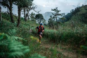 BIB: 
                            <button type="button" onclick="openModal(25264928)" class="btn btn-primary btn-sm float-right btn-popup" data-toggle="modal" data-target=".modal-high-quality">
                        <i class="fas fa-shopping-cart"></i> Add to Cart
                    </button>
                                            <button type="button" onclick="isThisMe(25264928, true)" class="btn btn-success btn-sm float-right btn-popup btn-isme hidden" data-toggle="tooltip" data-placement="bottom" title="นี่คือรูปของคุณใช่ไหม คลิกที่นี่เพื่อเอาเข้าอัลบั้ม">
                        <i class="fas fa-plus"></i> Add to album
                    </button>
                    <button type="button" onclick="isThisMe(25264928, false)" class="btn btn-warning btn-sm float-right btn-popup btn-isnotme hidden">
                        <i class="fas fa-ban"></i> Remove from album
                    </button>