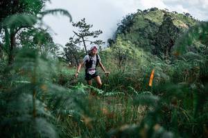 BIB: 
                            <button type="button" onclick="openModal(25277454)" class="btn btn-primary btn-sm float-right btn-popup" data-toggle="modal" data-target=".modal-high-quality">
                        <i class="fas fa-shopping-cart"></i> Add to Cart
                    </button>
                                            <button type="button" onclick="isThisMe(25277454, true)" class="btn btn-success btn-sm float-right btn-popup btn-isme hidden" data-toggle="tooltip" data-placement="bottom" title="นี่คือรูปของคุณใช่ไหม คลิกที่นี่เพื่อเอาเข้าอัลบั้ม">
                        <i class="fas fa-plus"></i> Add to album
                    </button>
                    <button type="button" onclick="isThisMe(25277454, false)" class="btn btn-warning btn-sm float-right btn-popup btn-isnotme hidden">
                        <i class="fas fa-ban"></i> Remove from album
                    </button>