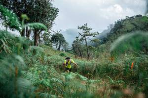 BIB: 
                            <button type="button" onclick="openModal(25265987)" class="btn btn-primary btn-sm float-right btn-popup" data-toggle="modal" data-target=".modal-high-quality">
                        <i class="fas fa-shopping-cart"></i> Add to Cart
                    </button>
                                            <button type="button" onclick="isThisMe(25265987, true)" class="btn btn-success btn-sm float-right btn-popup btn-isme hidden" data-toggle="tooltip" data-placement="bottom" title="นี่คือรูปของคุณใช่ไหม คลิกที่นี่เพื่อเอาเข้าอัลบั้ม">
                        <i class="fas fa-plus"></i> Add to album
                    </button>
                    <button type="button" onclick="isThisMe(25265987, false)" class="btn btn-warning btn-sm float-right btn-popup btn-isnotme hidden">
                        <i class="fas fa-ban"></i> Remove from album
                    </button>