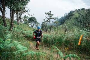 BIB: 
                            <button type="button" onclick="openModal(25267584)" class="btn btn-primary btn-sm float-right btn-popup" data-toggle="modal" data-target=".modal-high-quality">
                        <i class="fas fa-shopping-cart"></i> Add to Cart
                    </button>
                                            <button type="button" onclick="isThisMe(25267584, true)" class="btn btn-success btn-sm float-right btn-popup btn-isme hidden" data-toggle="tooltip" data-placement="bottom" title="นี่คือรูปของคุณใช่ไหม คลิกที่นี่เพื่อเอาเข้าอัลบั้ม">
                        <i class="fas fa-plus"></i> Add to album
                    </button>
                    <button type="button" onclick="isThisMe(25267584, false)" class="btn btn-warning btn-sm float-right btn-popup btn-isnotme hidden">
                        <i class="fas fa-ban"></i> Remove from album
                    </button>