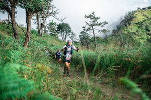 BIB: 
                            <button type="button" onclick="openModal(25276563)" class="btn btn-primary btn-sm float-right btn-popup" data-toggle="modal" data-target=".modal-high-quality">
                        <i class="fas fa-shopping-cart"></i> Add to Cart
                    </button>
                                            <button type="button" onclick="isThisMe(25276563, true)" class="btn btn-success btn-sm float-right btn-popup btn-isme hidden" data-toggle="tooltip" data-placement="bottom" title="นี่คือรูปของคุณใช่ไหม คลิกที่นี่เพื่อเอาเข้าอัลบั้ม">
                        <i class="fas fa-plus"></i> Add to album
                    </button>
                    <button type="button" onclick="isThisMe(25276563, false)" class="btn btn-warning btn-sm float-right btn-popup btn-isnotme hidden">
                        <i class="fas fa-ban"></i> Remove from album
                    </button>