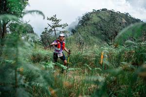 BIB: 
                            <button type="button" onclick="openModal(25268801)" class="btn btn-primary btn-sm float-right btn-popup" data-toggle="modal" data-target=".modal-high-quality">
                        <i class="fas fa-shopping-cart"></i> Add to Cart
                    </button>
                                            <button type="button" onclick="isThisMe(25268801, true)" class="btn btn-success btn-sm float-right btn-popup btn-isme hidden" data-toggle="tooltip" data-placement="bottom" title="นี่คือรูปของคุณใช่ไหม คลิกที่นี่เพื่อเอาเข้าอัลบั้ม">
                        <i class="fas fa-plus"></i> Add to album
                    </button>
                    <button type="button" onclick="isThisMe(25268801, false)" class="btn btn-warning btn-sm float-right btn-popup btn-isnotme hidden">
                        <i class="fas fa-ban"></i> Remove from album
                    </button>