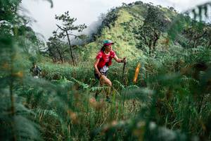 BIB: 
                            <button type="button" onclick="openModal(25266485)" class="btn btn-primary btn-sm float-right btn-popup" data-toggle="modal" data-target=".modal-high-quality">
                        <i class="fas fa-shopping-cart"></i> Add to Cart
                    </button>
                                            <button type="button" onclick="isThisMe(25266485, true)" class="btn btn-success btn-sm float-right btn-popup btn-isme hidden" data-toggle="tooltip" data-placement="bottom" title="นี่คือรูปของคุณใช่ไหม คลิกที่นี่เพื่อเอาเข้าอัลบั้ม">
                        <i class="fas fa-plus"></i> Add to album
                    </button>
                    <button type="button" onclick="isThisMe(25266485, false)" class="btn btn-warning btn-sm float-right btn-popup btn-isnotme hidden">
                        <i class="fas fa-ban"></i> Remove from album
                    </button>