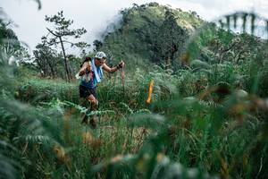 BIB: 
                            <button type="button" onclick="openModal(25278266)" class="btn btn-primary btn-sm float-right btn-popup" data-toggle="modal" data-target=".modal-high-quality">
                        <i class="fas fa-shopping-cart"></i> Add to Cart
                    </button>
                                            <button type="button" onclick="isThisMe(25278266, true)" class="btn btn-success btn-sm float-right btn-popup btn-isme hidden" data-toggle="tooltip" data-placement="bottom" title="นี่คือรูปของคุณใช่ไหม คลิกที่นี่เพื่อเอาเข้าอัลบั้ม">
                        <i class="fas fa-plus"></i> Add to album
                    </button>
                    <button type="button" onclick="isThisMe(25278266, false)" class="btn btn-warning btn-sm float-right btn-popup btn-isnotme hidden">
                        <i class="fas fa-ban"></i> Remove from album
                    </button>