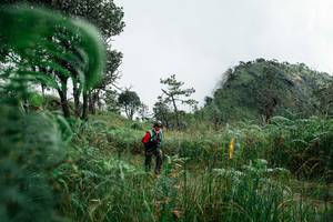 BIB: 
                            <button type="button" onclick="openModal(25278554)" class="btn btn-primary btn-sm float-right btn-popup" data-toggle="modal" data-target=".modal-high-quality">
                        <i class="fas fa-shopping-cart"></i> Add to Cart
                    </button>
                                            <button type="button" onclick="isThisMe(25278554, true)" class="btn btn-success btn-sm float-right btn-popup btn-isme hidden" data-toggle="tooltip" data-placement="bottom" title="นี่คือรูปของคุณใช่ไหม คลิกที่นี่เพื่อเอาเข้าอัลบั้ม">
                        <i class="fas fa-plus"></i> Add to album
                    </button>
                    <button type="button" onclick="isThisMe(25278554, false)" class="btn btn-warning btn-sm float-right btn-popup btn-isnotme hidden">
                        <i class="fas fa-ban"></i> Remove from album
                    </button>