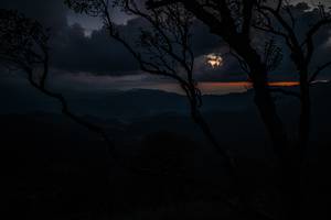 BIB: 
                            <button type="button" onclick="openModal(25264044)" class="btn btn-primary btn-sm float-right btn-popup" data-toggle="modal" data-target=".modal-high-quality">
                        <i class="fas fa-shopping-cart"></i> Add to Cart
                    </button>
                                            <button type="button" onclick="isThisMe(25264044, true)" class="btn btn-success btn-sm float-right btn-popup btn-isme hidden" data-toggle="tooltip" data-placement="bottom" title="นี่คือรูปของคุณใช่ไหม คลิกที่นี่เพื่อเอาเข้าอัลบั้ม">
                        <i class="fas fa-plus"></i> Add to album
                    </button>
                    <button type="button" onclick="isThisMe(25264044, false)" class="btn btn-warning btn-sm float-right btn-popup btn-isnotme hidden">
                        <i class="fas fa-ban"></i> Remove from album
                    </button>