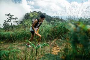 BIB: 
                            <button type="button" onclick="openModal(25268036)" class="btn btn-primary btn-sm float-right btn-popup" data-toggle="modal" data-target=".modal-high-quality">
                        <i class="fas fa-shopping-cart"></i> Add to Cart
                    </button>
                                            <button type="button" onclick="isThisMe(25268036, true)" class="btn btn-success btn-sm float-right btn-popup btn-isme hidden" data-toggle="tooltip" data-placement="bottom" title="นี่คือรูปของคุณใช่ไหม คลิกที่นี่เพื่อเอาเข้าอัลบั้ม">
                        <i class="fas fa-plus"></i> Add to album
                    </button>
                    <button type="button" onclick="isThisMe(25268036, false)" class="btn btn-warning btn-sm float-right btn-popup btn-isnotme hidden">
                        <i class="fas fa-ban"></i> Remove from album
                    </button>