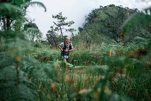 BIB: 
                            <button type="button" onclick="openModal(25276314)" class="btn btn-primary btn-sm float-right btn-popup" data-toggle="modal" data-target=".modal-high-quality">
                        <i class="fas fa-shopping-cart"></i> Add to Cart
                    </button>
                                            <button type="button" onclick="isThisMe(25276314, true)" class="btn btn-success btn-sm float-right btn-popup btn-isme hidden" data-toggle="tooltip" data-placement="bottom" title="นี่คือรูปของคุณใช่ไหม คลิกที่นี่เพื่อเอาเข้าอัลบั้ม">
                        <i class="fas fa-plus"></i> Add to album
                    </button>
                    <button type="button" onclick="isThisMe(25276314, false)" class="btn btn-warning btn-sm float-right btn-popup btn-isnotme hidden">
                        <i class="fas fa-ban"></i> Remove from album
                    </button>