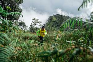 BIB: 
                            <button type="button" onclick="openModal(25278499)" class="btn btn-primary btn-sm float-right btn-popup" data-toggle="modal" data-target=".modal-high-quality">
                        <i class="fas fa-shopping-cart"></i> Add to Cart
                    </button>
                                            <button type="button" onclick="isThisMe(25278499, true)" class="btn btn-success btn-sm float-right btn-popup btn-isme hidden" data-toggle="tooltip" data-placement="bottom" title="นี่คือรูปของคุณใช่ไหม คลิกที่นี่เพื่อเอาเข้าอัลบั้ม">
                        <i class="fas fa-plus"></i> Add to album
                    </button>
                    <button type="button" onclick="isThisMe(25278499, false)" class="btn btn-warning btn-sm float-right btn-popup btn-isnotme hidden">
                        <i class="fas fa-ban"></i> Remove from album
                    </button>