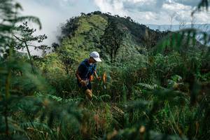 BIB: 
                            <button type="button" onclick="openModal(25266181)" class="btn btn-primary btn-sm float-right btn-popup" data-toggle="modal" data-target=".modal-high-quality">
                        <i class="fas fa-shopping-cart"></i> Add to Cart
                    </button>
                                            <button type="button" onclick="isThisMe(25266181, true)" class="btn btn-success btn-sm float-right btn-popup btn-isme hidden" data-toggle="tooltip" data-placement="bottom" title="นี่คือรูปของคุณใช่ไหม คลิกที่นี่เพื่อเอาเข้าอัลบั้ม">
                        <i class="fas fa-plus"></i> Add to album
                    </button>
                    <button type="button" onclick="isThisMe(25266181, false)" class="btn btn-warning btn-sm float-right btn-popup btn-isnotme hidden">
                        <i class="fas fa-ban"></i> Remove from album
                    </button>