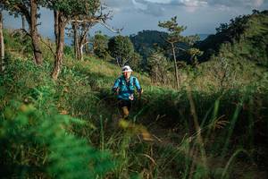 BIB: 
                            <button type="button" onclick="openModal(25266201)" class="btn btn-primary btn-sm float-right btn-popup" data-toggle="modal" data-target=".modal-high-quality">
                        <i class="fas fa-shopping-cart"></i> Add to Cart
                    </button>
                                            <button type="button" onclick="isThisMe(25266201, true)" class="btn btn-success btn-sm float-right btn-popup btn-isme hidden" data-toggle="tooltip" data-placement="bottom" title="นี่คือรูปของคุณใช่ไหม คลิกที่นี่เพื่อเอาเข้าอัลบั้ม">
                        <i class="fas fa-plus"></i> Add to album
                    </button>
                    <button type="button" onclick="isThisMe(25266201, false)" class="btn btn-warning btn-sm float-right btn-popup btn-isnotme hidden">
                        <i class="fas fa-ban"></i> Remove from album
                    </button>