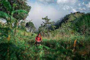 BIB: 
                            <button type="button" onclick="openModal(25272414)" class="btn btn-primary btn-sm float-right btn-popup" data-toggle="modal" data-target=".modal-high-quality">
                        <i class="fas fa-shopping-cart"></i> Add to Cart
                    </button>
                                            <button type="button" onclick="isThisMe(25272414, true)" class="btn btn-success btn-sm float-right btn-popup btn-isme hidden" data-toggle="tooltip" data-placement="bottom" title="นี่คือรูปของคุณใช่ไหม คลิกที่นี่เพื่อเอาเข้าอัลบั้ม">
                        <i class="fas fa-plus"></i> Add to album
                    </button>
                    <button type="button" onclick="isThisMe(25272414, false)" class="btn btn-warning btn-sm float-right btn-popup btn-isnotme hidden">
                        <i class="fas fa-ban"></i> Remove from album
                    </button>