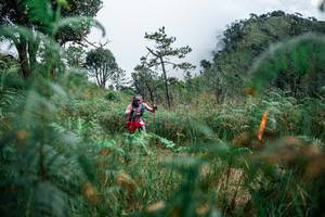 BIB: 
                            <button type="button" onclick="openModal(25277027)" class="btn btn-primary btn-sm float-right btn-popup" data-toggle="modal" data-target=".modal-high-quality">
                        <i class="fas fa-shopping-cart"></i> Add to Cart
                    </button>
                                            <button type="button" onclick="isThisMe(25277027, true)" class="btn btn-success btn-sm float-right btn-popup btn-isme hidden" data-toggle="tooltip" data-placement="bottom" title="นี่คือรูปของคุณใช่ไหม คลิกที่นี่เพื่อเอาเข้าอัลบั้ม">
                        <i class="fas fa-plus"></i> Add to album
                    </button>
                    <button type="button" onclick="isThisMe(25277027, false)" class="btn btn-warning btn-sm float-right btn-popup btn-isnotme hidden">
                        <i class="fas fa-ban"></i> Remove from album
                    </button>