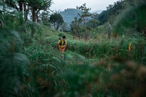 BIB: 
                            <button type="button" onclick="openModal(25266992)" class="btn btn-primary btn-sm float-right btn-popup" data-toggle="modal" data-target=".modal-high-quality">
                        <i class="fas fa-shopping-cart"></i> Add to Cart
                    </button>
                                            <button type="button" onclick="isThisMe(25266992, true)" class="btn btn-success btn-sm float-right btn-popup btn-isme hidden" data-toggle="tooltip" data-placement="bottom" title="นี่คือรูปของคุณใช่ไหม คลิกที่นี่เพื่อเอาเข้าอัลบั้ม">
                        <i class="fas fa-plus"></i> Add to album
                    </button>
                    <button type="button" onclick="isThisMe(25266992, false)" class="btn btn-warning btn-sm float-right btn-popup btn-isnotme hidden">
                        <i class="fas fa-ban"></i> Remove from album
                    </button>