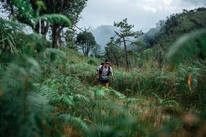 BIB: 
                            <button type="button" onclick="openModal(25265849)" class="btn btn-primary btn-sm float-right btn-popup" data-toggle="modal" data-target=".modal-high-quality">
                        <i class="fas fa-shopping-cart"></i> Add to Cart
                    </button>
                                            <button type="button" onclick="isThisMe(25265849, true)" class="btn btn-success btn-sm float-right btn-popup btn-isme hidden" data-toggle="tooltip" data-placement="bottom" title="นี่คือรูปของคุณใช่ไหม คลิกที่นี่เพื่อเอาเข้าอัลบั้ม">
                        <i class="fas fa-plus"></i> Add to album
                    </button>
                    <button type="button" onclick="isThisMe(25265849, false)" class="btn btn-warning btn-sm float-right btn-popup btn-isnotme hidden">
                        <i class="fas fa-ban"></i> Remove from album
                    </button>