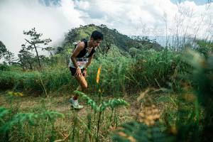 BIB: 
                            <button type="button" onclick="openModal(25268056)" class="btn btn-primary btn-sm float-right btn-popup" data-toggle="modal" data-target=".modal-high-quality">
                        <i class="fas fa-shopping-cart"></i> Add to Cart
                    </button>
                                            <button type="button" onclick="isThisMe(25268056, true)" class="btn btn-success btn-sm float-right btn-popup btn-isme hidden" data-toggle="tooltip" data-placement="bottom" title="นี่คือรูปของคุณใช่ไหม คลิกที่นี่เพื่อเอาเข้าอัลบั้ม">
                        <i class="fas fa-plus"></i> Add to album
                    </button>
                    <button type="button" onclick="isThisMe(25268056, false)" class="btn btn-warning btn-sm float-right btn-popup btn-isnotme hidden">
                        <i class="fas fa-ban"></i> Remove from album
                    </button>