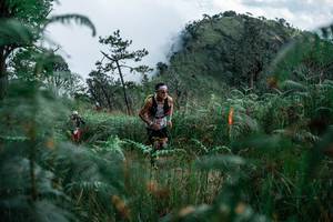 BIB: 
                            <button type="button" onclick="openModal(25277847)" class="btn btn-primary btn-sm float-right btn-popup" data-toggle="modal" data-target=".modal-high-quality">
                        <i class="fas fa-shopping-cart"></i> Add to Cart
                    </button>
                                            <button type="button" onclick="isThisMe(25277847, true)" class="btn btn-success btn-sm float-right btn-popup btn-isme hidden" data-toggle="tooltip" data-placement="bottom" title="นี่คือรูปของคุณใช่ไหม คลิกที่นี่เพื่อเอาเข้าอัลบั้ม">
                        <i class="fas fa-plus"></i> Add to album
                    </button>
                    <button type="button" onclick="isThisMe(25277847, false)" class="btn btn-warning btn-sm float-right btn-popup btn-isnotme hidden">
                        <i class="fas fa-ban"></i> Remove from album
                    </button>