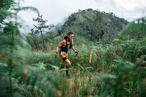 BIB: 
                            <button type="button" onclick="openModal(25268104)" class="btn btn-primary btn-sm float-right btn-popup" data-toggle="modal" data-target=".modal-high-quality">
                        <i class="fas fa-shopping-cart"></i> Add to Cart
                    </button>
                                            <button type="button" onclick="isThisMe(25268104, true)" class="btn btn-success btn-sm float-right btn-popup btn-isme hidden" data-toggle="tooltip" data-placement="bottom" title="นี่คือรูปของคุณใช่ไหม คลิกที่นี่เพื่อเอาเข้าอัลบั้ม">
                        <i class="fas fa-plus"></i> Add to album
                    </button>
                    <button type="button" onclick="isThisMe(25268104, false)" class="btn btn-warning btn-sm float-right btn-popup btn-isnotme hidden">
                        <i class="fas fa-ban"></i> Remove from album
                    </button>