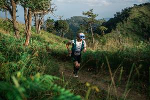 BIB: 
                            <button type="button" onclick="openModal(25264378)" class="btn btn-primary btn-sm float-right btn-popup" data-toggle="modal" data-target=".modal-high-quality">
                        <i class="fas fa-shopping-cart"></i> Add to Cart
                    </button>
                                            <button type="button" onclick="isThisMe(25264378, true)" class="btn btn-success btn-sm float-right btn-popup btn-isme hidden" data-toggle="tooltip" data-placement="bottom" title="นี่คือรูปของคุณใช่ไหม คลิกที่นี่เพื่อเอาเข้าอัลบั้ม">
                        <i class="fas fa-plus"></i> Add to album
                    </button>
                    <button type="button" onclick="isThisMe(25264378, false)" class="btn btn-warning btn-sm float-right btn-popup btn-isnotme hidden">
                        <i class="fas fa-ban"></i> Remove from album
                    </button>