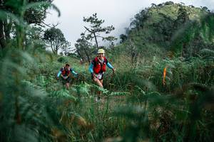 BIB: 
                            <button type="button" onclick="openModal(25273803)" class="btn btn-primary btn-sm float-right btn-popup" data-toggle="modal" data-target=".modal-high-quality">
                        <i class="fas fa-shopping-cart"></i> Add to Cart
                    </button>
                                            <button type="button" onclick="isThisMe(25273803, true)" class="btn btn-success btn-sm float-right btn-popup btn-isme hidden" data-toggle="tooltip" data-placement="bottom" title="นี่คือรูปของคุณใช่ไหม คลิกที่นี่เพื่อเอาเข้าอัลบั้ม">
                        <i class="fas fa-plus"></i> Add to album
                    </button>
                    <button type="button" onclick="isThisMe(25273803, false)" class="btn btn-warning btn-sm float-right btn-popup btn-isnotme hidden">
                        <i class="fas fa-ban"></i> Remove from album
                    </button>