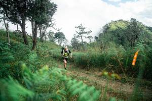 BIB: 
                            <button type="button" onclick="openModal(25267285)" class="btn btn-primary btn-sm float-right btn-popup" data-toggle="modal" data-target=".modal-high-quality">
                        <i class="fas fa-shopping-cart"></i> Add to Cart
                    </button>
                                            <button type="button" onclick="isThisMe(25267285, true)" class="btn btn-success btn-sm float-right btn-popup btn-isme hidden" data-toggle="tooltip" data-placement="bottom" title="นี่คือรูปของคุณใช่ไหม คลิกที่นี่เพื่อเอาเข้าอัลบั้ม">
                        <i class="fas fa-plus"></i> Add to album
                    </button>
                    <button type="button" onclick="isThisMe(25267285, false)" class="btn btn-warning btn-sm float-right btn-popup btn-isnotme hidden">
                        <i class="fas fa-ban"></i> Remove from album
                    </button>