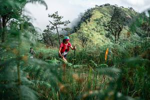 BIB: 
                            <button type="button" onclick="openModal(25266521)" class="btn btn-primary btn-sm float-right btn-popup" data-toggle="modal" data-target=".modal-high-quality">
                        <i class="fas fa-shopping-cart"></i> Add to Cart
                    </button>
                                            <button type="button" onclick="isThisMe(25266521, true)" class="btn btn-success btn-sm float-right btn-popup btn-isme hidden" data-toggle="tooltip" data-placement="bottom" title="นี่คือรูปของคุณใช่ไหม คลิกที่นี่เพื่อเอาเข้าอัลบั้ม">
                        <i class="fas fa-plus"></i> Add to album
                    </button>
                    <button type="button" onclick="isThisMe(25266521, false)" class="btn btn-warning btn-sm float-right btn-popup btn-isnotme hidden">
                        <i class="fas fa-ban"></i> Remove from album
                    </button>