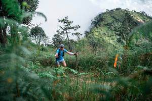 BIB: 
                            <button type="button" onclick="openModal(25275552)" class="btn btn-primary btn-sm float-right btn-popup" data-toggle="modal" data-target=".modal-high-quality">
                        <i class="fas fa-shopping-cart"></i> Add to Cart
                    </button>
                                            <button type="button" onclick="isThisMe(25275552, true)" class="btn btn-success btn-sm float-right btn-popup btn-isme hidden" data-toggle="tooltip" data-placement="bottom" title="นี่คือรูปของคุณใช่ไหม คลิกที่นี่เพื่อเอาเข้าอัลบั้ม">
                        <i class="fas fa-plus"></i> Add to album
                    </button>
                    <button type="button" onclick="isThisMe(25275552, false)" class="btn btn-warning btn-sm float-right btn-popup btn-isnotme hidden">
                        <i class="fas fa-ban"></i> Remove from album
                    </button>