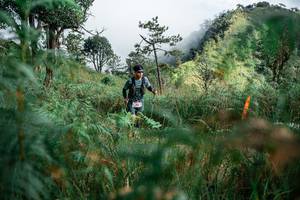 BIB: 
                            <button type="button" onclick="openModal(25266454)" class="btn btn-primary btn-sm float-right btn-popup" data-toggle="modal" data-target=".modal-high-quality">
                        <i class="fas fa-shopping-cart"></i> Add to Cart
                    </button>
                                            <button type="button" onclick="isThisMe(25266454, true)" class="btn btn-success btn-sm float-right btn-popup btn-isme hidden" data-toggle="tooltip" data-placement="bottom" title="นี่คือรูปของคุณใช่ไหม คลิกที่นี่เพื่อเอาเข้าอัลบั้ม">
                        <i class="fas fa-plus"></i> Add to album
                    </button>
                    <button type="button" onclick="isThisMe(25266454, false)" class="btn btn-warning btn-sm float-right btn-popup btn-isnotme hidden">
                        <i class="fas fa-ban"></i> Remove from album
                    </button>