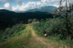 BIB: 
                            <button type="button" onclick="openModal(25278631)" class="btn btn-primary btn-sm float-right btn-popup" data-toggle="modal" data-target=".modal-high-quality">
                        <i class="fas fa-shopping-cart"></i> Add to Cart
                    </button>
                                            <button type="button" onclick="isThisMe(25278631, true)" class="btn btn-success btn-sm float-right btn-popup btn-isme hidden" data-toggle="tooltip" data-placement="bottom" title="นี่คือรูปของคุณใช่ไหม คลิกที่นี่เพื่อเอาเข้าอัลบั้ม">
                        <i class="fas fa-plus"></i> Add to album
                    </button>
                    <button type="button" onclick="isThisMe(25278631, false)" class="btn btn-warning btn-sm float-right btn-popup btn-isnotme hidden">
                        <i class="fas fa-ban"></i> Remove from album
                    </button>