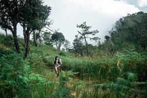 BIB: 
                            <button type="button" onclick="openModal(25272767)" class="btn btn-primary btn-sm float-right btn-popup" data-toggle="modal" data-target=".modal-high-quality">
                        <i class="fas fa-shopping-cart"></i> Add to Cart
                    </button>
                                            <button type="button" onclick="isThisMe(25272767, true)" class="btn btn-success btn-sm float-right btn-popup btn-isme hidden" data-toggle="tooltip" data-placement="bottom" title="นี่คือรูปของคุณใช่ไหม คลิกที่นี่เพื่อเอาเข้าอัลบั้ม">
                        <i class="fas fa-plus"></i> Add to album
                    </button>
                    <button type="button" onclick="isThisMe(25272767, false)" class="btn btn-warning btn-sm float-right btn-popup btn-isnotme hidden">
                        <i class="fas fa-ban"></i> Remove from album
                    </button>