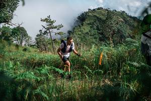 BIB: 
                            <button type="button" onclick="openModal(25272592)" class="btn btn-primary btn-sm float-right btn-popup" data-toggle="modal" data-target=".modal-high-quality">
                        <i class="fas fa-shopping-cart"></i> Add to Cart
                    </button>
                                            <button type="button" onclick="isThisMe(25272592, true)" class="btn btn-success btn-sm float-right btn-popup btn-isme hidden" data-toggle="tooltip" data-placement="bottom" title="นี่คือรูปของคุณใช่ไหม คลิกที่นี่เพื่อเอาเข้าอัลบั้ม">
                        <i class="fas fa-plus"></i> Add to album
                    </button>
                    <button type="button" onclick="isThisMe(25272592, false)" class="btn btn-warning btn-sm float-right btn-popup btn-isnotme hidden">
                        <i class="fas fa-ban"></i> Remove from album
                    </button>