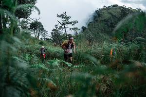 BIB: 
                            <button type="button" onclick="openModal(25277897)" class="btn btn-primary btn-sm float-right btn-popup" data-toggle="modal" data-target=".modal-high-quality">
                        <i class="fas fa-shopping-cart"></i> Add to Cart
                    </button>
                                            <button type="button" onclick="isThisMe(25277897, true)" class="btn btn-success btn-sm float-right btn-popup btn-isme hidden" data-toggle="tooltip" data-placement="bottom" title="นี่คือรูปของคุณใช่ไหม คลิกที่นี่เพื่อเอาเข้าอัลบั้ม">
                        <i class="fas fa-plus"></i> Add to album
                    </button>
                    <button type="button" onclick="isThisMe(25277897, false)" class="btn btn-warning btn-sm float-right btn-popup btn-isnotme hidden">
                        <i class="fas fa-ban"></i> Remove from album
                    </button>