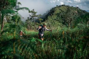 BIB: 
                            <button type="button" onclick="openModal(25272524)" class="btn btn-primary btn-sm float-right btn-popup" data-toggle="modal" data-target=".modal-high-quality">
                        <i class="fas fa-shopping-cart"></i> Add to Cart
                    </button>
                                            <button type="button" onclick="isThisMe(25272524, true)" class="btn btn-success btn-sm float-right btn-popup btn-isme hidden" data-toggle="tooltip" data-placement="bottom" title="นี่คือรูปของคุณใช่ไหม คลิกที่นี่เพื่อเอาเข้าอัลบั้ม">
                        <i class="fas fa-plus"></i> Add to album
                    </button>
                    <button type="button" onclick="isThisMe(25272524, false)" class="btn btn-warning btn-sm float-right btn-popup btn-isnotme hidden">
                        <i class="fas fa-ban"></i> Remove from album
                    </button>