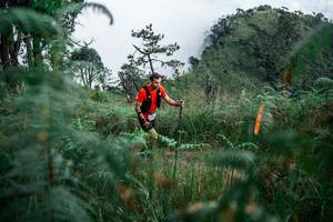 BIB: 
                            <button type="button" onclick="openModal(25275274)" class="btn btn-primary btn-sm float-right btn-popup" data-toggle="modal" data-target=".modal-high-quality">
                        <i class="fas fa-shopping-cart"></i> Add to Cart
                    </button>
                                            <button type="button" onclick="isThisMe(25275274, true)" class="btn btn-success btn-sm float-right btn-popup btn-isme hidden" data-toggle="tooltip" data-placement="bottom" title="นี่คือรูปของคุณใช่ไหม คลิกที่นี่เพื่อเอาเข้าอัลบั้ม">
                        <i class="fas fa-plus"></i> Add to album
                    </button>
                    <button type="button" onclick="isThisMe(25275274, false)" class="btn btn-warning btn-sm float-right btn-popup btn-isnotme hidden">
                        <i class="fas fa-ban"></i> Remove from album
                    </button>