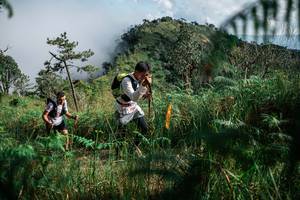 BIB: 
                            <button type="button" onclick="openModal(25272604)" class="btn btn-primary btn-sm float-right btn-popup" data-toggle="modal" data-target=".modal-high-quality">
                        <i class="fas fa-shopping-cart"></i> Add to Cart
                    </button>
                                            <button type="button" onclick="isThisMe(25272604, true)" class="btn btn-success btn-sm float-right btn-popup btn-isme hidden" data-toggle="tooltip" data-placement="bottom" title="นี่คือรูปของคุณใช่ไหม คลิกที่นี่เพื่อเอาเข้าอัลบั้ม">
                        <i class="fas fa-plus"></i> Add to album
                    </button>
                    <button type="button" onclick="isThisMe(25272604, false)" class="btn btn-warning btn-sm float-right btn-popup btn-isnotme hidden">
                        <i class="fas fa-ban"></i> Remove from album
                    </button>