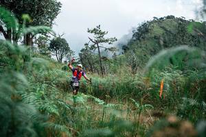 BIB: 
                            <button type="button" onclick="openModal(25269056)" class="btn btn-primary btn-sm float-right btn-popup" data-toggle="modal" data-target=".modal-high-quality">
                        <i class="fas fa-shopping-cart"></i> Add to Cart
                    </button>
                                            <button type="button" onclick="isThisMe(25269056, true)" class="btn btn-success btn-sm float-right btn-popup btn-isme hidden" data-toggle="tooltip" data-placement="bottom" title="นี่คือรูปของคุณใช่ไหม คลิกที่นี่เพื่อเอาเข้าอัลบั้ม">
                        <i class="fas fa-plus"></i> Add to album
                    </button>
                    <button type="button" onclick="isThisMe(25269056, false)" class="btn btn-warning btn-sm float-right btn-popup btn-isnotme hidden">
                        <i class="fas fa-ban"></i> Remove from album
                    </button>