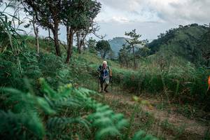 BIB: 
                            <button type="button" onclick="openModal(25264271)" class="btn btn-primary btn-sm float-right btn-popup" data-toggle="modal" data-target=".modal-high-quality">
                        <i class="fas fa-shopping-cart"></i> Add to Cart
                    </button>
                                            <button type="button" onclick="isThisMe(25264271, true)" class="btn btn-success btn-sm float-right btn-popup btn-isme hidden" data-toggle="tooltip" data-placement="bottom" title="นี่คือรูปของคุณใช่ไหม คลิกที่นี่เพื่อเอาเข้าอัลบั้ม">
                        <i class="fas fa-plus"></i> Add to album
                    </button>
                    <button type="button" onclick="isThisMe(25264271, false)" class="btn btn-warning btn-sm float-right btn-popup btn-isnotme hidden">
                        <i class="fas fa-ban"></i> Remove from album
                    </button>