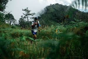 BIB: 
                            <button type="button" onclick="openModal(25272217)" class="btn btn-primary btn-sm float-right btn-popup" data-toggle="modal" data-target=".modal-high-quality">
                        <i class="fas fa-shopping-cart"></i> Add to Cart
                    </button>
                                            <button type="button" onclick="isThisMe(25272217, true)" class="btn btn-success btn-sm float-right btn-popup btn-isme hidden" data-toggle="tooltip" data-placement="bottom" title="นี่คือรูปของคุณใช่ไหม คลิกที่นี่เพื่อเอาเข้าอัลบั้ม">
                        <i class="fas fa-plus"></i> Add to album
                    </button>
                    <button type="button" onclick="isThisMe(25272217, false)" class="btn btn-warning btn-sm float-right btn-popup btn-isnotme hidden">
                        <i class="fas fa-ban"></i> Remove from album
                    </button>