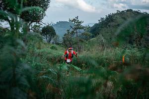 BIB: 
                            <button type="button" onclick="openModal(25267121)" class="btn btn-primary btn-sm float-right btn-popup" data-toggle="modal" data-target=".modal-high-quality">
                        <i class="fas fa-shopping-cart"></i> Add to Cart
                    </button>
                                            <button type="button" onclick="isThisMe(25267121, true)" class="btn btn-success btn-sm float-right btn-popup btn-isme hidden" data-toggle="tooltip" data-placement="bottom" title="นี่คือรูปของคุณใช่ไหม คลิกที่นี่เพื่อเอาเข้าอัลบั้ม">
                        <i class="fas fa-plus"></i> Add to album
                    </button>
                    <button type="button" onclick="isThisMe(25267121, false)" class="btn btn-warning btn-sm float-right btn-popup btn-isnotme hidden">
                        <i class="fas fa-ban"></i> Remove from album
                    </button>