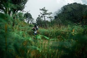 BIB: 
                            <button type="button" onclick="openModal(25272256)" class="btn btn-primary btn-sm float-right btn-popup" data-toggle="modal" data-target=".modal-high-quality">
                        <i class="fas fa-shopping-cart"></i> Add to Cart
                    </button>
                                            <button type="button" onclick="isThisMe(25272256, true)" class="btn btn-success btn-sm float-right btn-popup btn-isme hidden" data-toggle="tooltip" data-placement="bottom" title="นี่คือรูปของคุณใช่ไหม คลิกที่นี่เพื่อเอาเข้าอัลบั้ม">
                        <i class="fas fa-plus"></i> Add to album
                    </button>
                    <button type="button" onclick="isThisMe(25272256, false)" class="btn btn-warning btn-sm float-right btn-popup btn-isnotme hidden">
                        <i class="fas fa-ban"></i> Remove from album
                    </button>