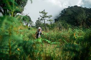 BIB: 
                            <button type="button" onclick="openModal(25272331)" class="btn btn-primary btn-sm float-right btn-popup" data-toggle="modal" data-target=".modal-high-quality">
                        <i class="fas fa-shopping-cart"></i> Add to Cart
                    </button>
                                            <button type="button" onclick="isThisMe(25272331, true)" class="btn btn-success btn-sm float-right btn-popup btn-isme hidden" data-toggle="tooltip" data-placement="bottom" title="นี่คือรูปของคุณใช่ไหม คลิกที่นี่เพื่อเอาเข้าอัลบั้ม">
                        <i class="fas fa-plus"></i> Add to album
                    </button>
                    <button type="button" onclick="isThisMe(25272331, false)" class="btn btn-warning btn-sm float-right btn-popup btn-isnotme hidden">
                        <i class="fas fa-ban"></i> Remove from album
                    </button>