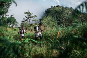 BIB: 
                            <button type="button" onclick="openModal(25272623)" class="btn btn-primary btn-sm float-right btn-popup" data-toggle="modal" data-target=".modal-high-quality">
                        <i class="fas fa-shopping-cart"></i> Add to Cart
                    </button>
                                            <button type="button" onclick="isThisMe(25272623, true)" class="btn btn-success btn-sm float-right btn-popup btn-isme hidden" data-toggle="tooltip" data-placement="bottom" title="นี่คือรูปของคุณใช่ไหม คลิกที่นี่เพื่อเอาเข้าอัลบั้ม">
                        <i class="fas fa-plus"></i> Add to album
                    </button>
                    <button type="button" onclick="isThisMe(25272623, false)" class="btn btn-warning btn-sm float-right btn-popup btn-isnotme hidden">
                        <i class="fas fa-ban"></i> Remove from album
                    </button>