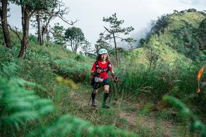 BIB: 
                            <button type="button" onclick="openModal(25276783)" class="btn btn-primary btn-sm float-right btn-popup" data-toggle="modal" data-target=".modal-high-quality">
                        <i class="fas fa-shopping-cart"></i> Add to Cart
                    </button>
                                            <button type="button" onclick="isThisMe(25276783, true)" class="btn btn-success btn-sm float-right btn-popup btn-isme hidden" data-toggle="tooltip" data-placement="bottom" title="นี่คือรูปของคุณใช่ไหม คลิกที่นี่เพื่อเอาเข้าอัลบั้ม">
                        <i class="fas fa-plus"></i> Add to album
                    </button>
                    <button type="button" onclick="isThisMe(25276783, false)" class="btn btn-warning btn-sm float-right btn-popup btn-isnotme hidden">
                        <i class="fas fa-ban"></i> Remove from album
                    </button>